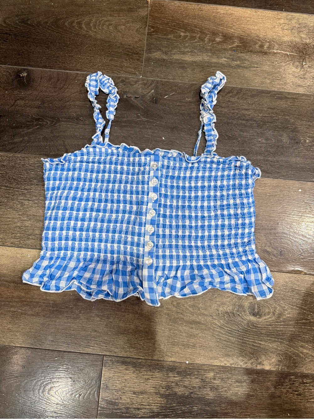 American Eagle Outfitters Blue Gingham Smocked Crop Tank